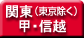 関東_甲信越_点滅